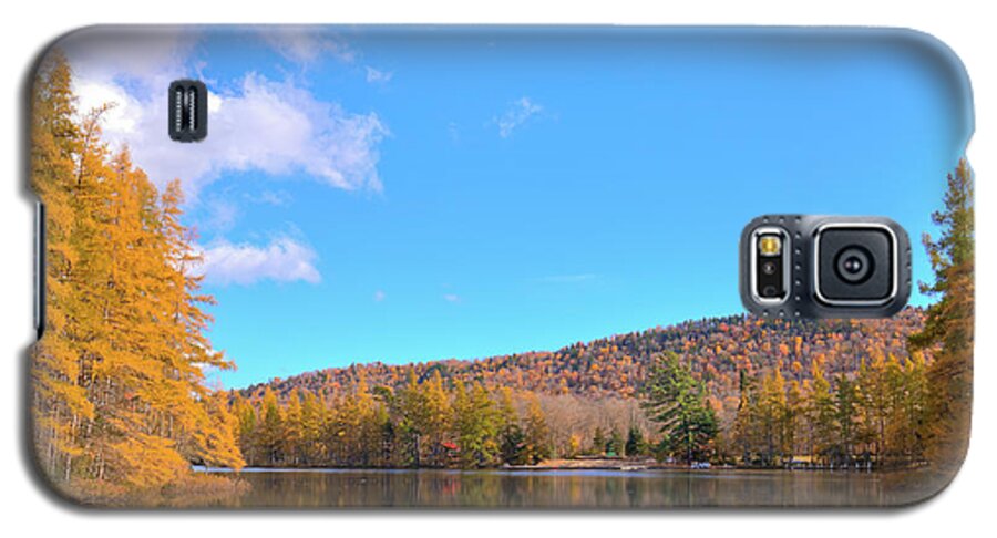 Landscape Galaxy S5 Case featuring the photograph The Golden Tamaracks of Woodcraft Camp by David Patterson