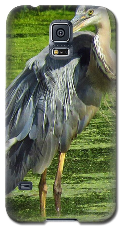 Herons Galaxy S5 Case featuring the photograph The Great Blue Heron by Lori Frisch