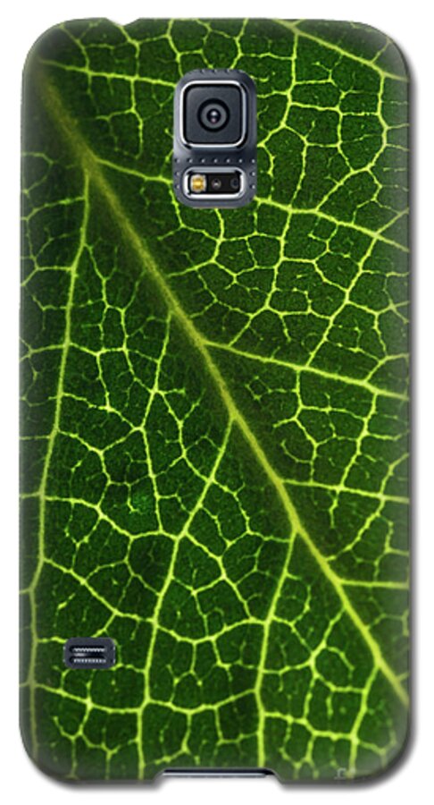 Leaf Galaxy S5 Case featuring the photograph The Green Network by Ana V Ramirez