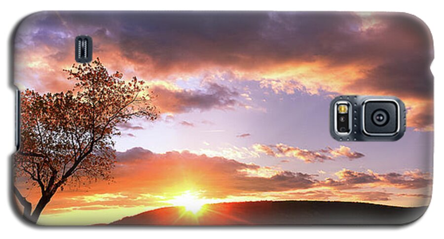 Landscape Galaxy S5 Case featuring the photograph The Heart Tree by Everett Houser