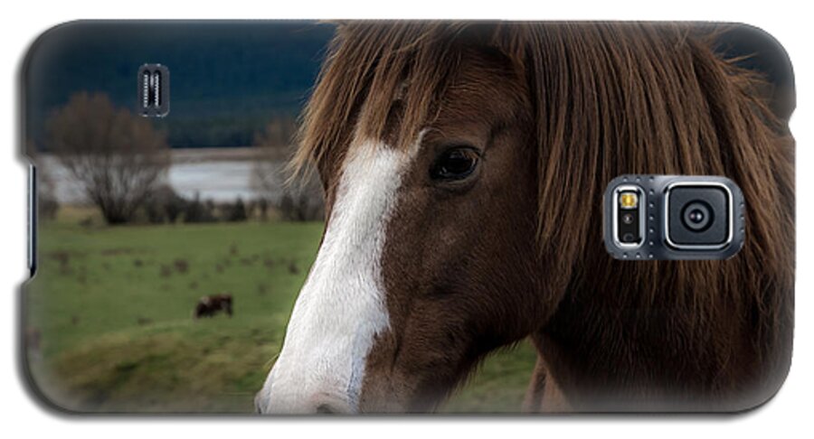 Animal Galaxy S5 Case featuring the photograph The Horse by Andrew Matwijec