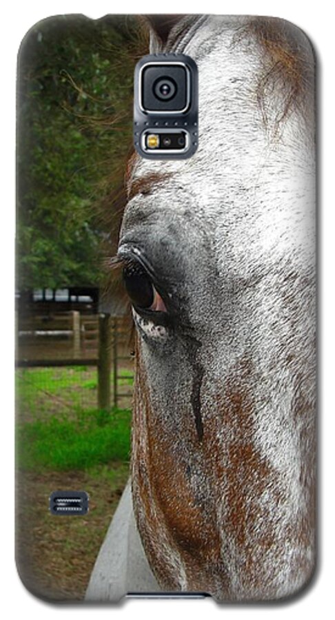 Horse Galaxy S5 Case featuring the photograph The Horse by Carl Moore