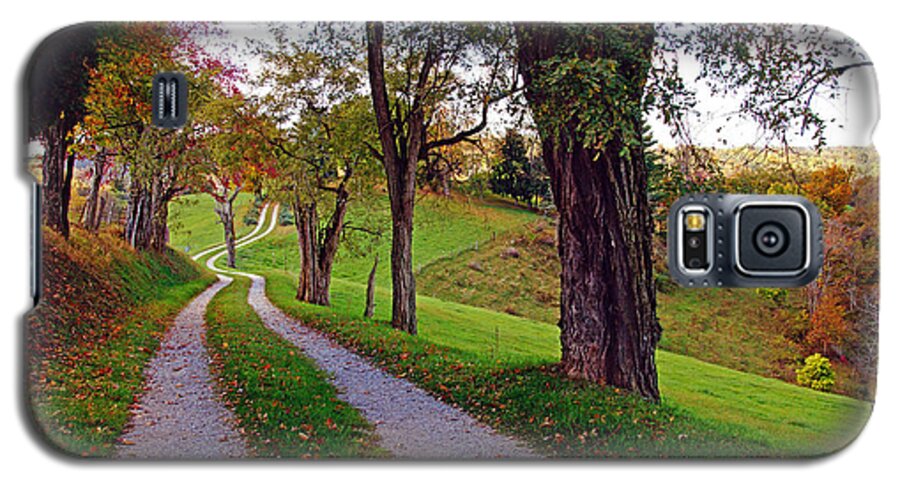 Landscapes Galaxy S5 Case featuring the photograph The Long Road in Autumn by Mike Murdock