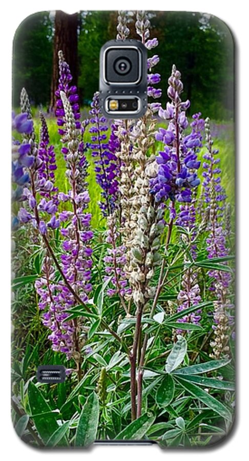 Lupines Galaxy S5 Case featuring the photograph The Lupine Crowd by Jennifer Lake