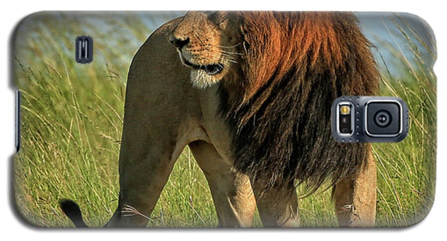 Lion Galaxy S5 Case featuring the photograph The Mane Man by Steven Upton