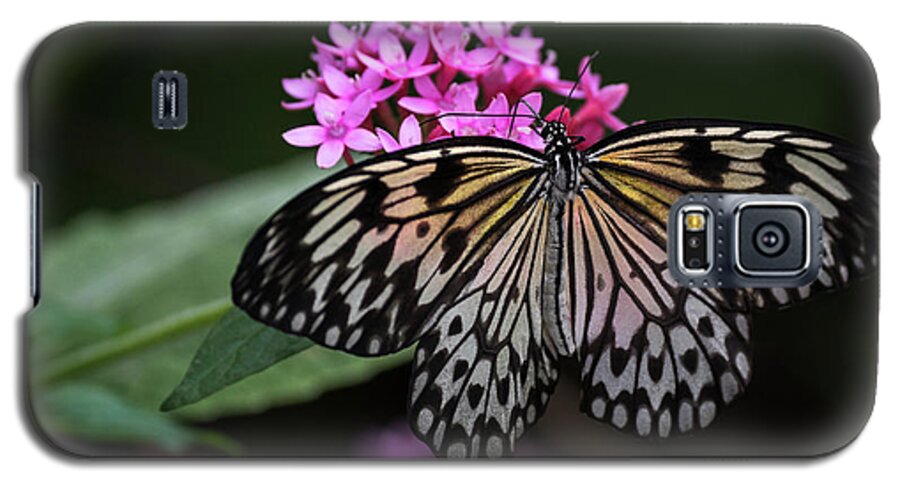 Photograph Galaxy S5 Case featuring the photograph The Master Calls A Butterfly by Cindy Lark Hartman