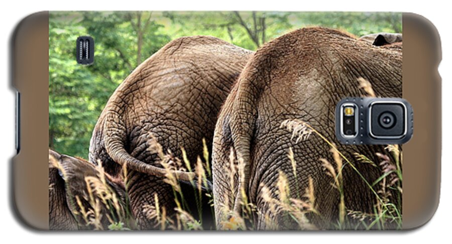 African Elephant Galaxy S5 Case featuring the photograph The Other Side by Angela Rath