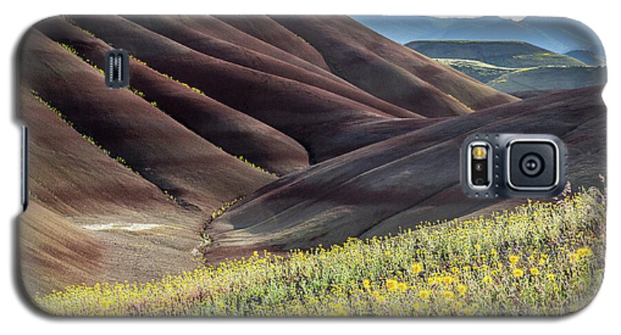 Thepaintedhills Galaxy S5 Case featuring the photograph The Painted Hills in Bloom by Tim Newton