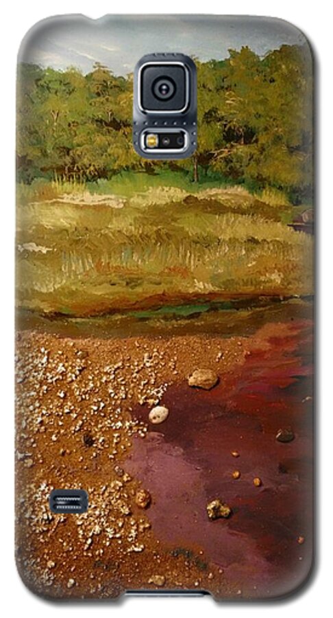 Mixed Medium Art Galaxy S5 Case featuring the painting The pond by Ray Khalife