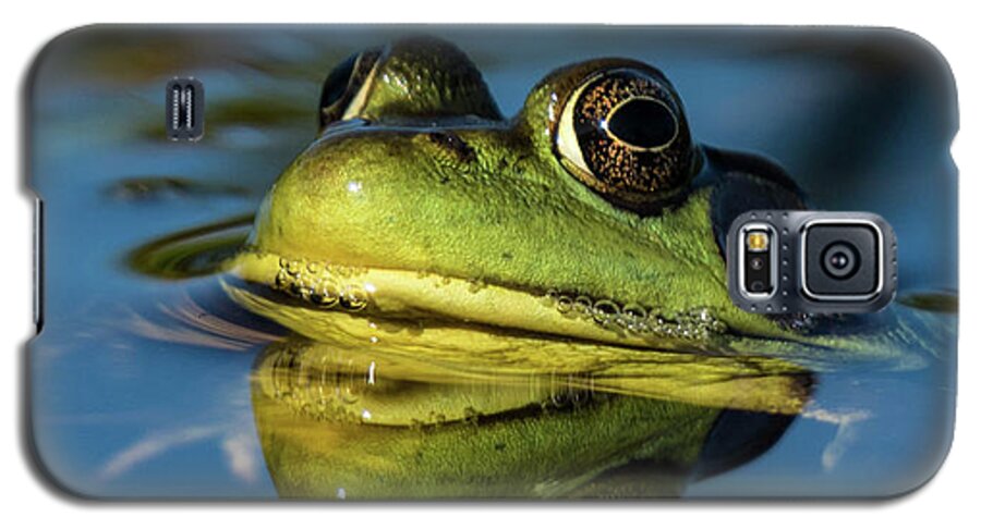 Frog Galaxy S5 Case featuring the photograph The Prince by Jody Partin