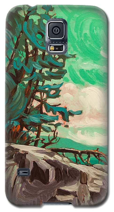 B.c. Landscape Galaxy S5 Case featuring the painting The Rugged Coast by Rob Owen