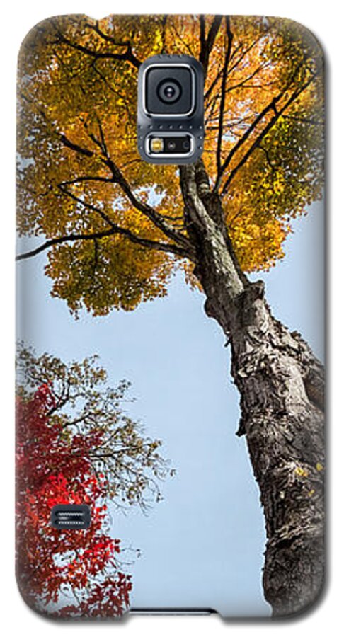 Fall Galaxy S5 Case featuring the photograph The Space Between by Glenn DiPaola