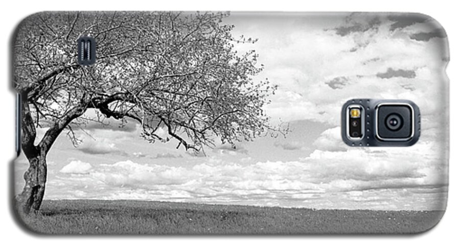 Tree Galaxy S5 Case featuring the photograph The Tree on the Hill by David Bader