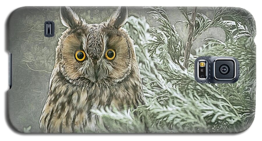 Long Eared Owl Galaxy S5 Case featuring the photograph The watcher in the mist by Brian Tarr