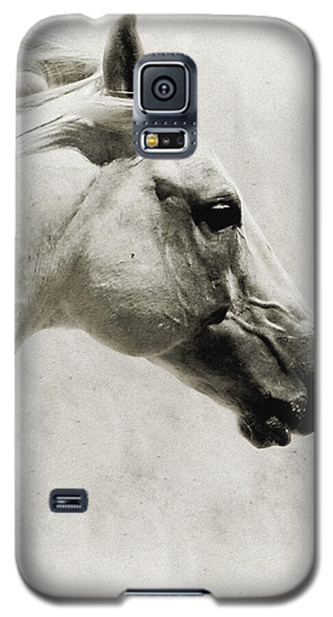 Andalusian Galaxy S5 Case featuring the photograph The White Horse III - Art Print by Dimitar Hristov