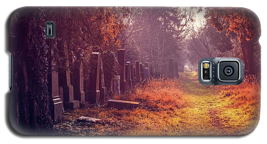 Cemetery Galaxy S5 Case featuring the photograph The Winter Path by Carol Japp