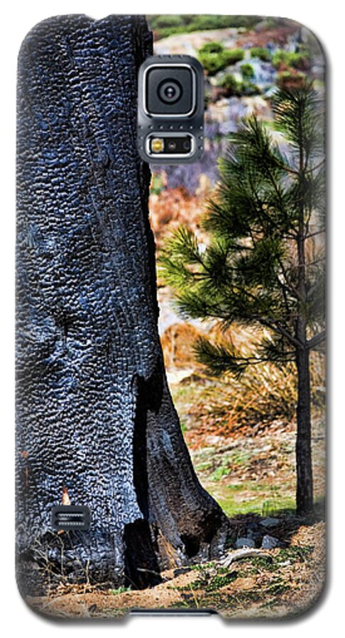 Forest Fire Galaxy S5 Case featuring the photograph Then and Now by Bonnie Bruno