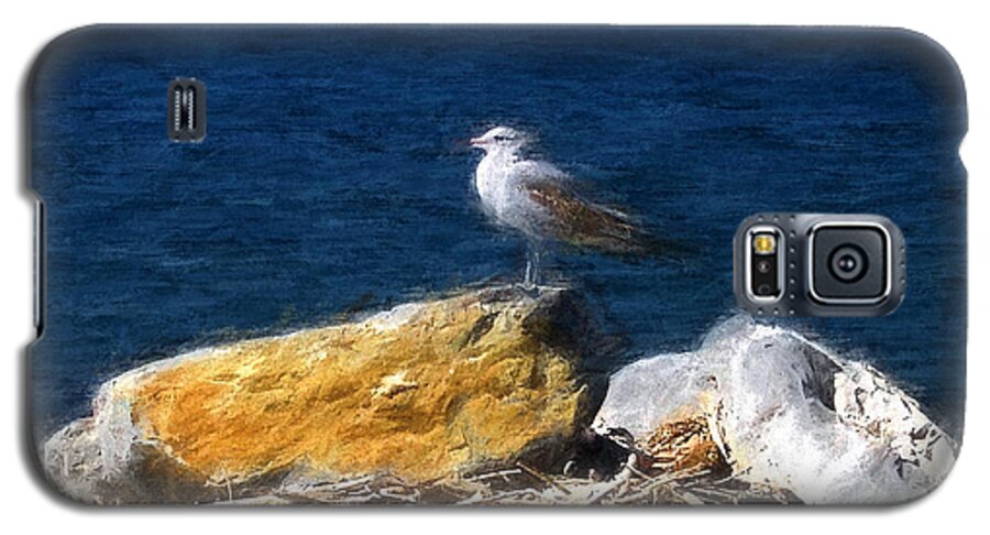 Seagull Galaxy S5 Case featuring the photograph This Gull Has Flown by John Freidenberg