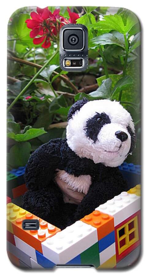 Baby Panda Galaxy S5 Case featuring the photograph This house is too small for me by Ausra Huntington nee Paulauskaite
