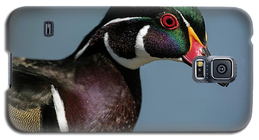 Wood Duck Galaxy S5 Case featuring the photograph This is my good side by Elvira Butler