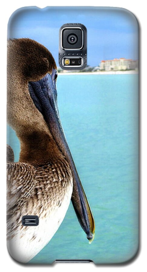 Clearwater Galaxy S5 Case featuring the photograph This Is My Town - Pelican at Clearwater Beach Florida by Angela Rath