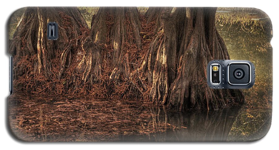 Trees Galaxy S5 Case featuring the photograph Three Trees in Lake Murray by Tamyra Ayles