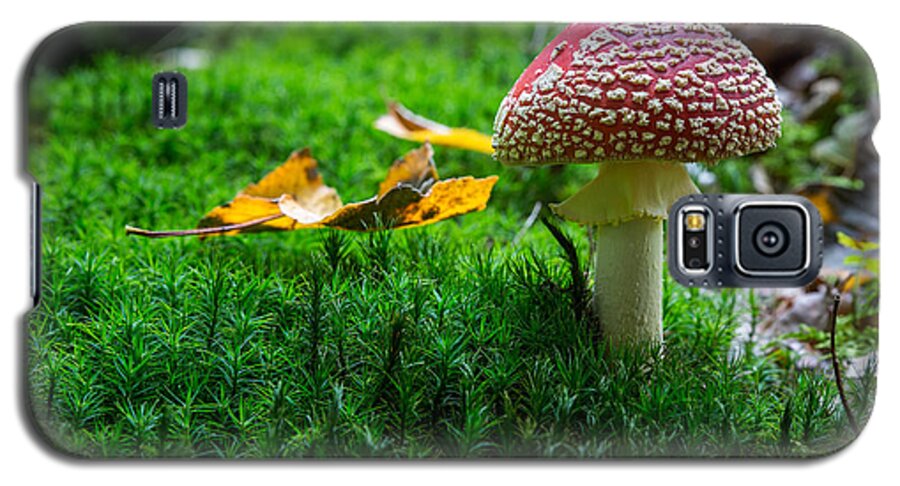 Toadstool Galaxy S5 Case featuring the photograph Toadstool by Andreas Levi