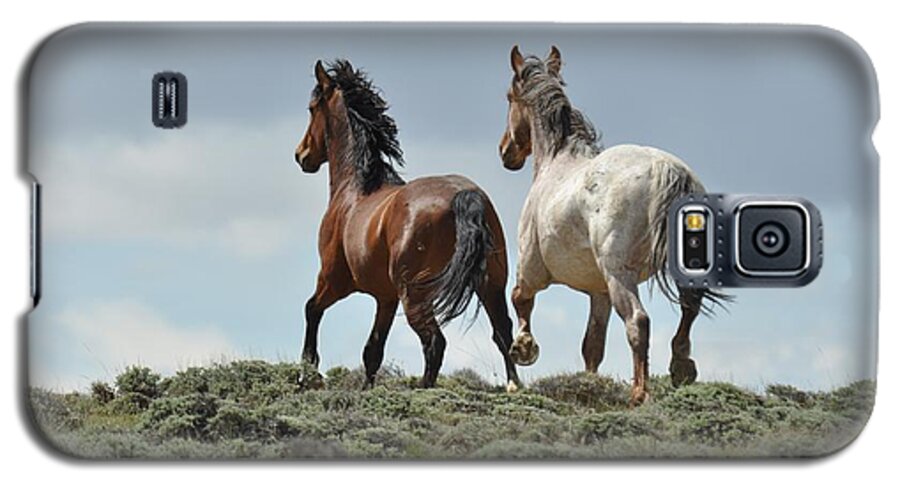 Wild Horses Galaxy S5 Case featuring the photograph Too Beautiful by Frank Madia