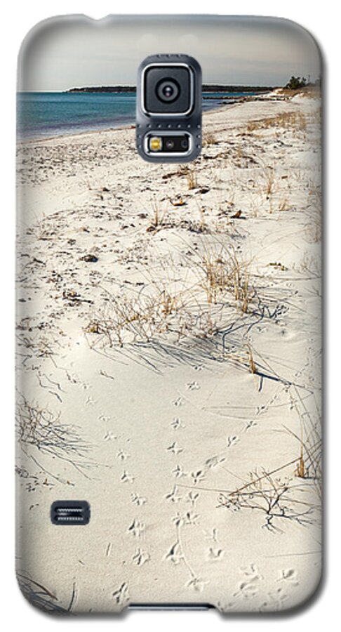 Tracks On The Beach Galaxy S5 Case featuring the photograph Tracks on the Beach by Michelle Constantine