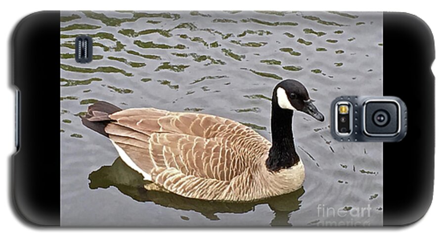 Nature Galaxy S5 Case featuring the photograph Tranquility by Barbara Plattenburg