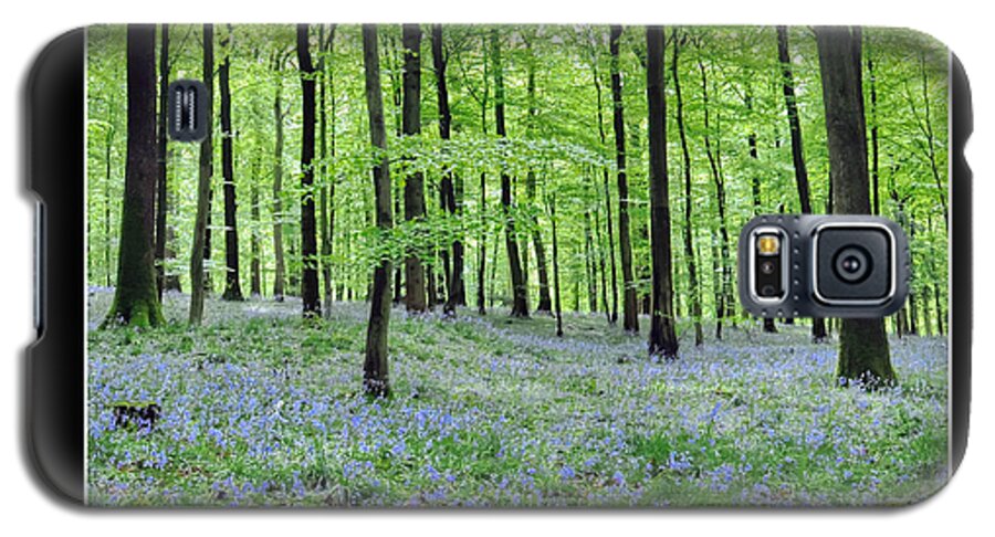 Tranquility Galaxy S5 Case featuring the photograph Tranquility - Bluebells in Woods by Geraldine Alexander