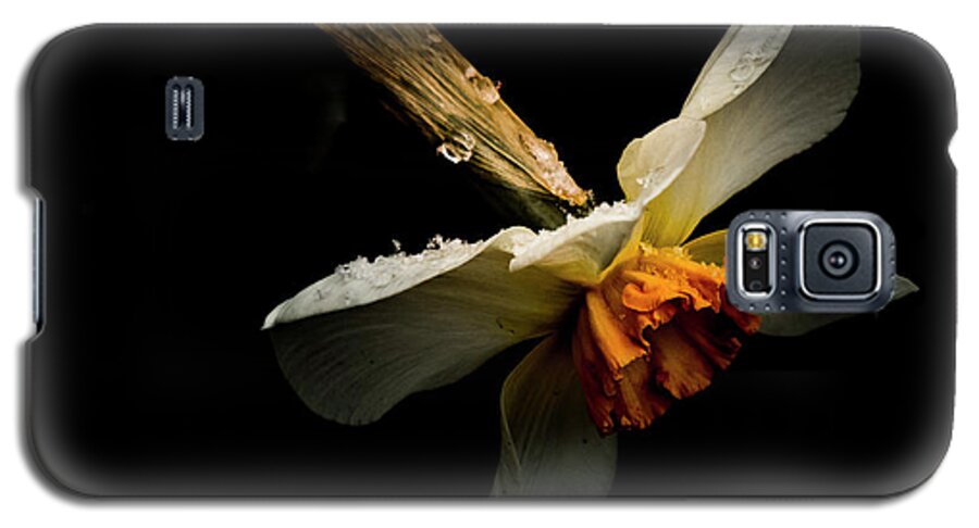 Flower Galaxy S5 Case featuring the photograph Transition by Allin Sorenson