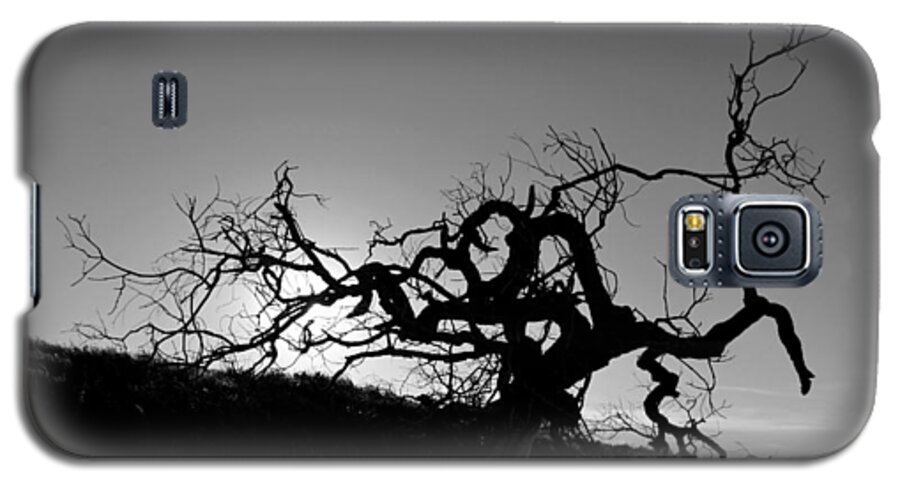 Tree Galaxy S5 Case featuring the photograph Tree of Light Silhouette Hillside - Black and White by Matt Quest
