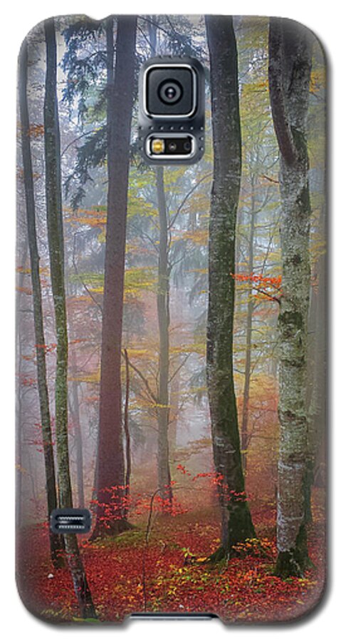 Forest Galaxy S5 Case featuring the photograph Tree trunks in fog by Elena Elisseeva