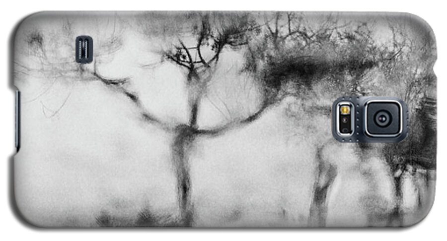 Trees Galaxy S5 Case featuring the digital art Trees Through the Window by Celso Bressan