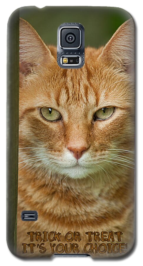 Cat Galaxy S5 Case featuring the photograph Trick or Treat by Joye Ardyn Durham