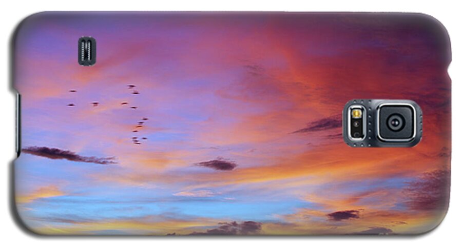 Inspiring Galaxy S5 Case featuring the photograph Tropical North Queensland Sunset Splendor by Kerryn Madsen-Pietsch