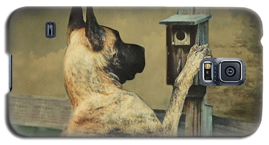 Great Dane Galaxy S5 Case featuring the photograph Tucker and the Birdhouse by Fran J Scott