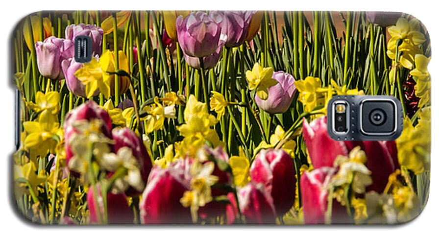Landscape Galaxy S5 Case featuring the photograph Tulip Spring by Chuck Brown