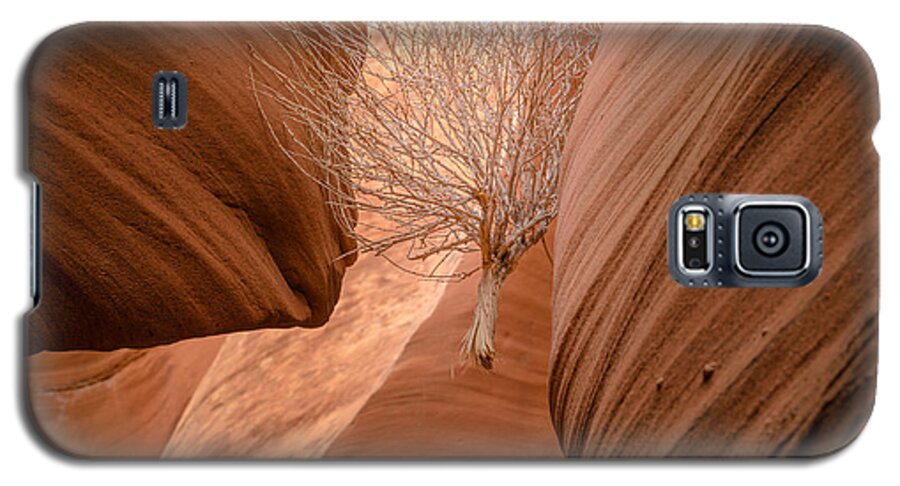 Tumbleweed Galaxy S5 Case featuring the photograph Tumbleweed in Owl Canyon by Jim DeLillo
