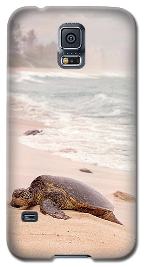 Green Sea Turtle Galaxy S5 Case featuring the photograph Turtle Beach by Heather Applegate