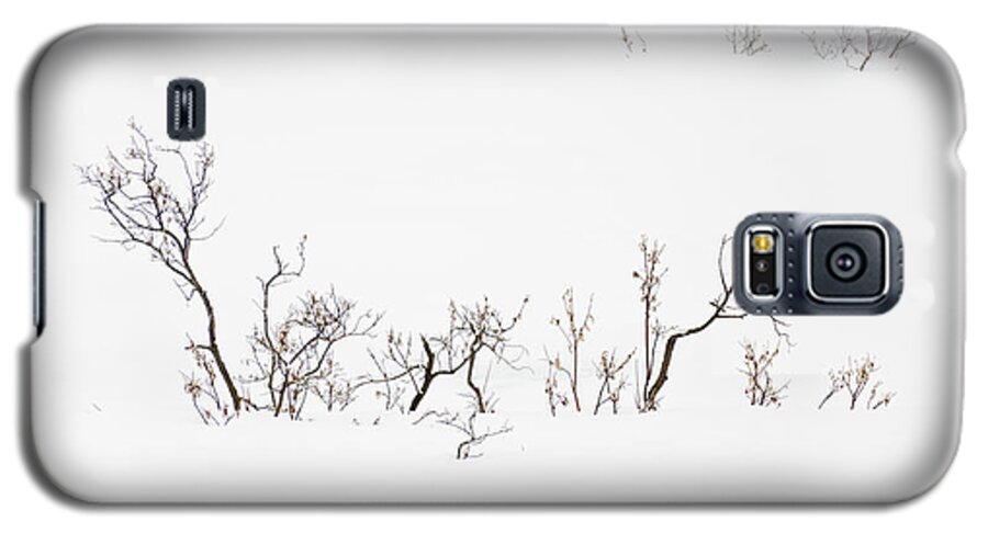 Twigs Galaxy S5 Case featuring the photograph Twigs in Snow by Bryan Carter