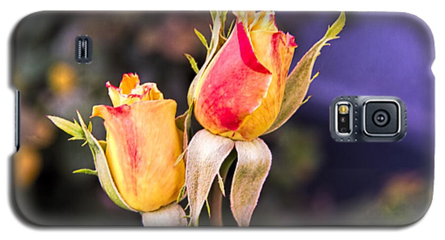 Flowers Galaxy S5 Case featuring the photograph Twin Roses of Love by Bruce Bottomley