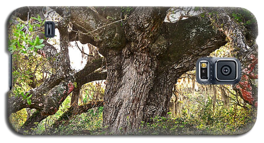 Healthy Galaxy S5 Case featuring the photograph Twisted Oak by Lisa Lambert-Shank