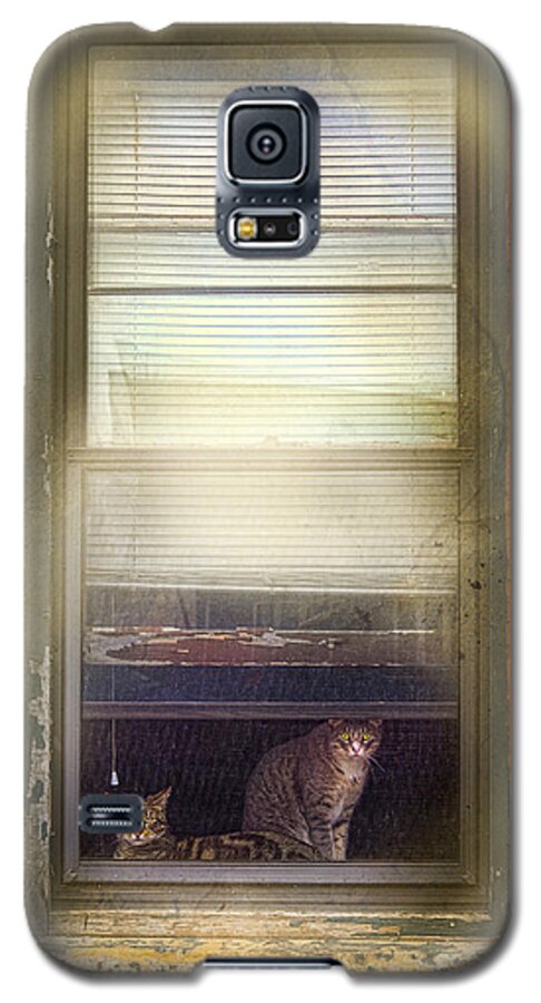 Our Town Galaxy S5 Case featuring the photograph Two Cats of Elm by Craig J Satterlee