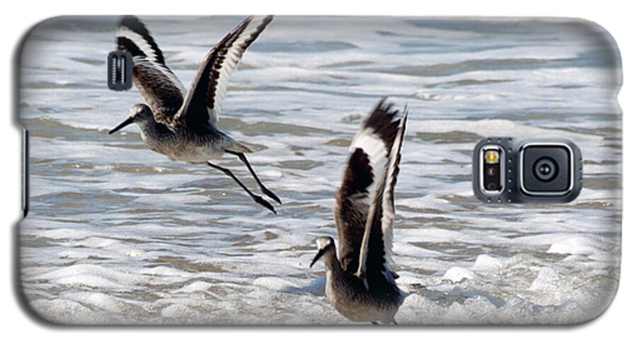 Birds Galaxy S5 Case featuring the photograph Outer Banks OBX #8 by Buddy Morrison