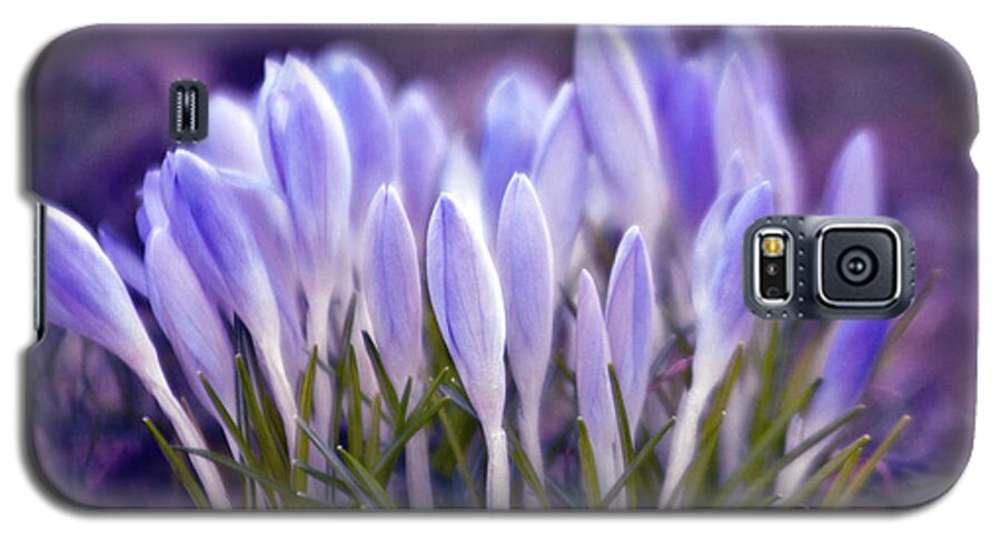 Crocus Galaxy S5 Case featuring the photograph Ultra Violet SOUND by Silva Wischeropp