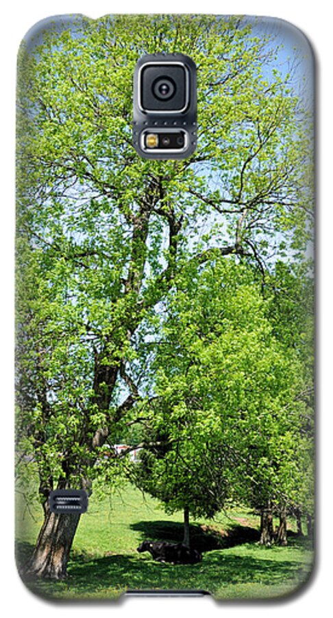 Landscapes Galaxy S5 Case featuring the photograph Under The Oak by Jan Amiss Photography