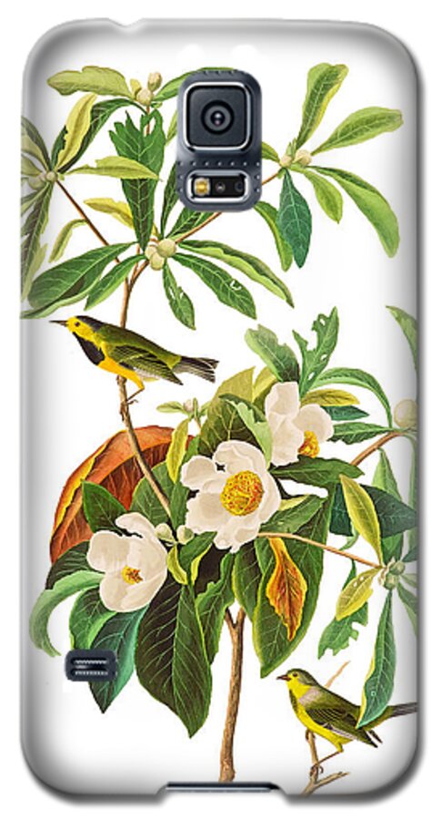 John James Audubon Galaxy S5 Case featuring the photograph Undercover by Munir Alawi