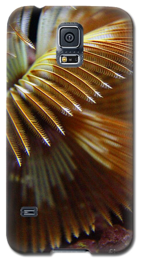 Hawaii Galaxy S5 Case featuring the photograph Underwater Feathers by Jennifer Bright Burr